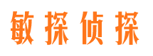 安新市私家侦探